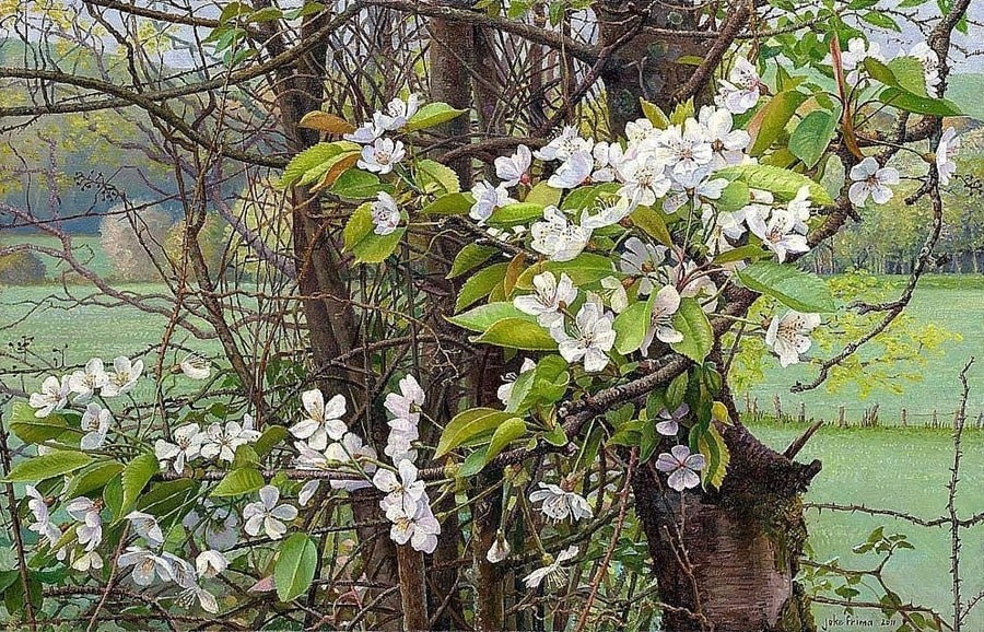 Фото из открытого источника