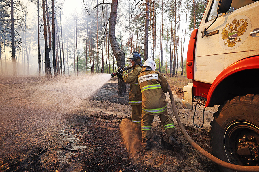    © Александр Река/ТАСС