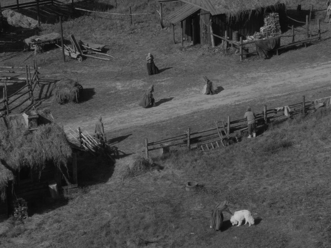     «На этой земле», 2024 «На этой земле», 2024