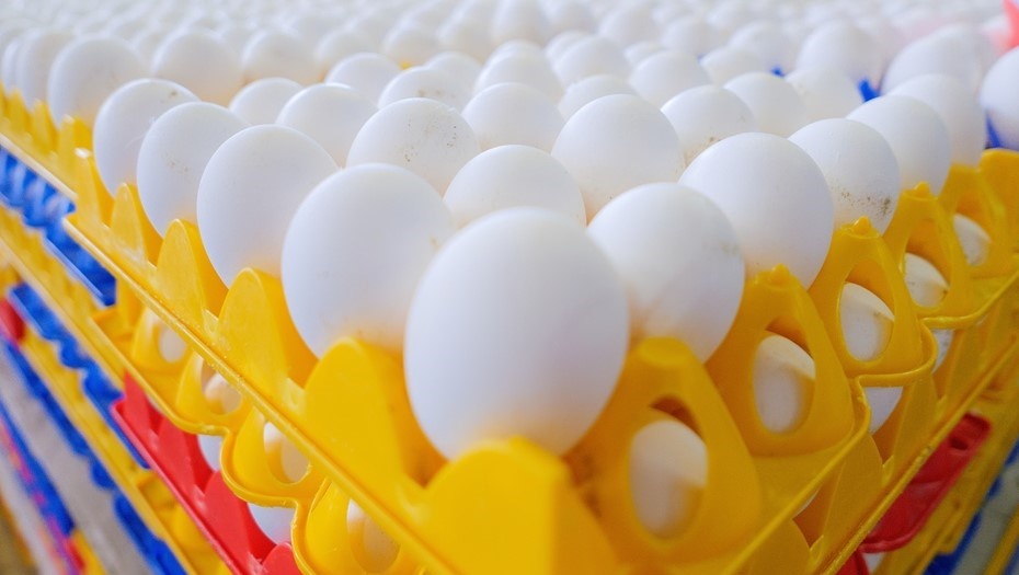    Автор фото: Беликов Валентин/ДП