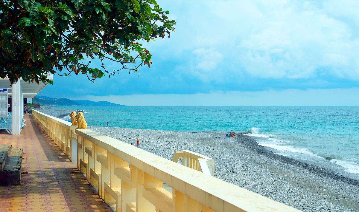 Живописный берег Сочи 2025г