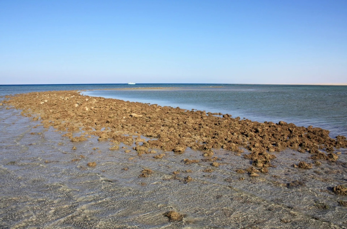 Фрагмент пристани Хеопса после раскопок, недалеко от Вади-эль-Джарф. Обратите внимание на L-образную форму, уходящую в море.Фото Пьера Талле. Источник: https://www.haaretz.com/archaeology/2016-11-23/ty-article-magazine/divers-uncover-worlds-oldest-harbor-in-red-sea/0000017f-e7c7-dc7e-adff-f7eff26f0000