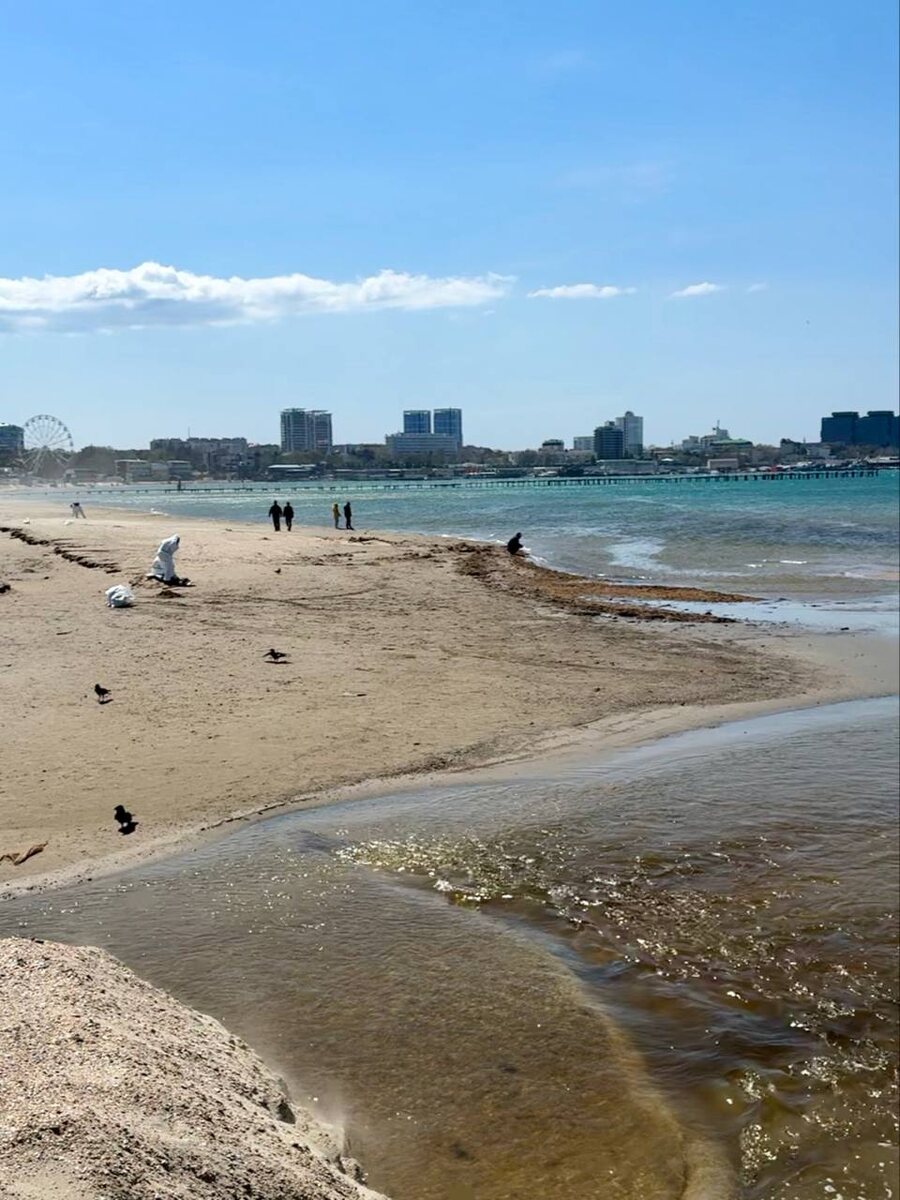 Фото  из свободных источников. 