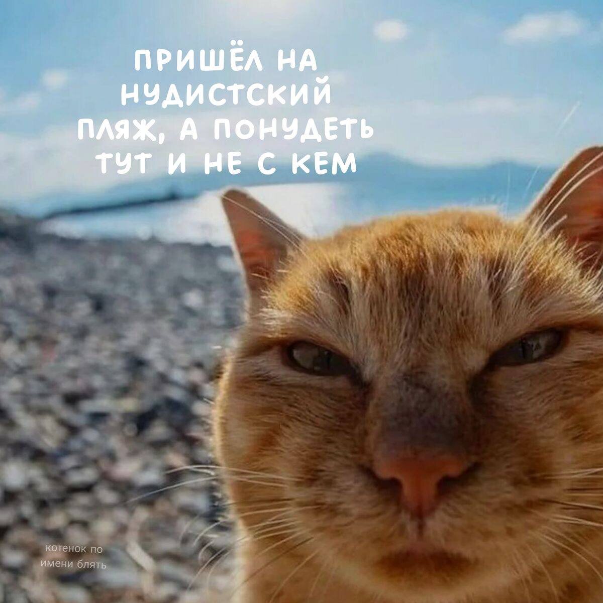 Фото из  свободных источников. 