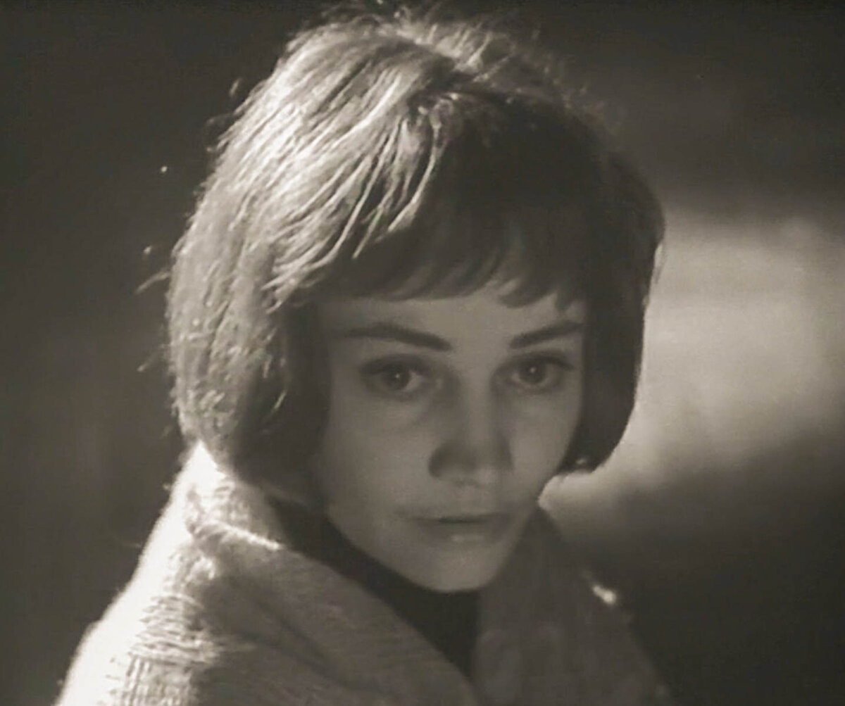 изображение взято из открытых источников в сети Интернет