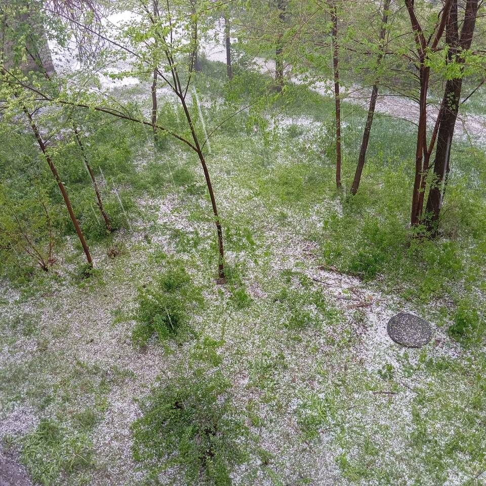    Фото: "Городские вести"