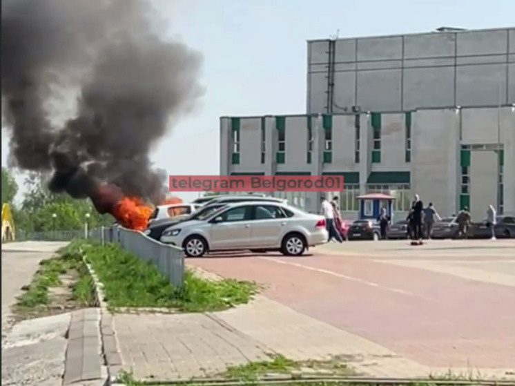     В Белгороде на Харгоре загорелся автомобиль, фото: скриншот видео со страницы t.me/belgorod01