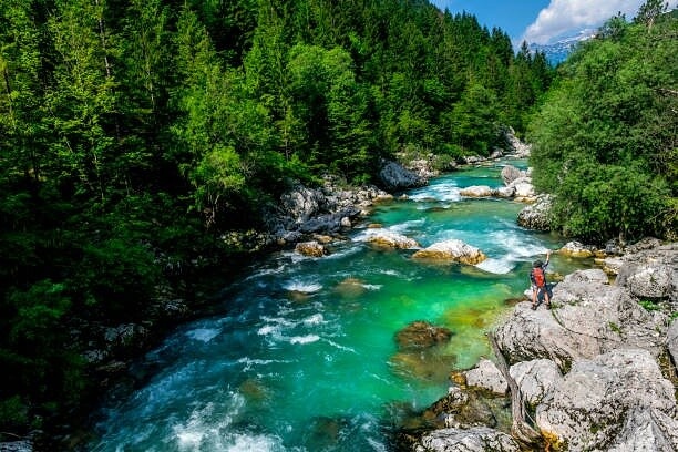 Фото из Яндекса