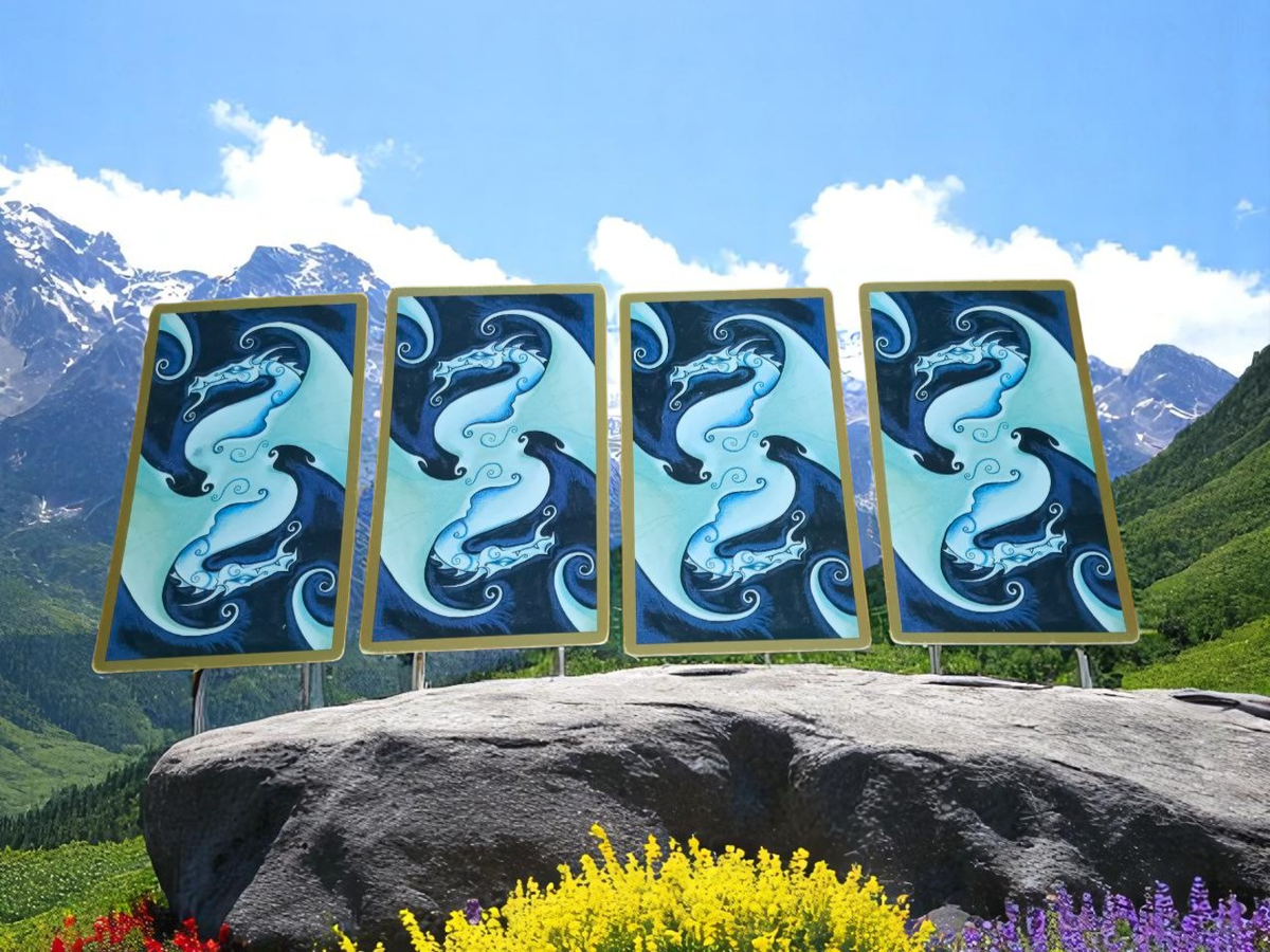 фото расклада