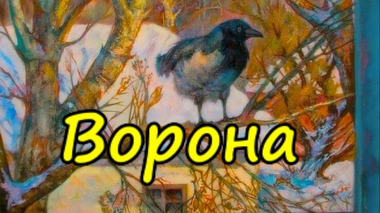 Ворона