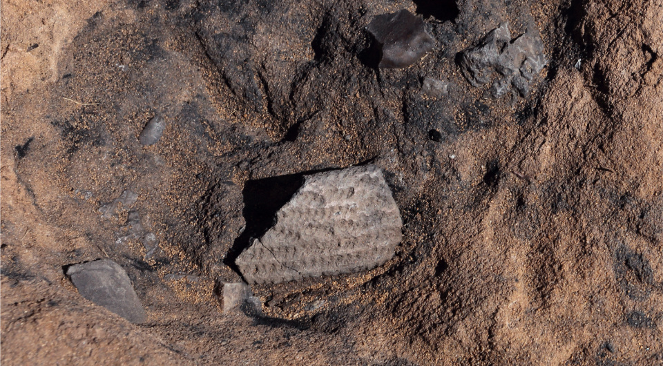   P. Muntowski, M. Jórdeczka; Przemysław Bobrowski et al. / Radiocarbon, 2025