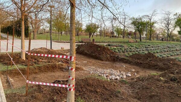    © Telegram Михаил Развожаев