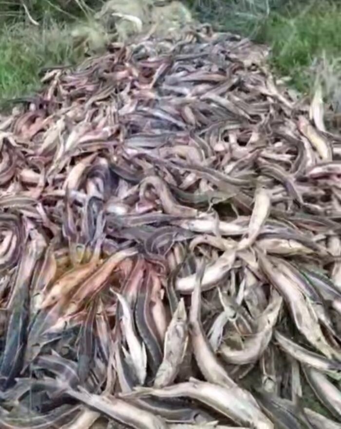 Источник фото: Телеграмм-канал "Блокнот-Волгодонск"/скриншот с видео