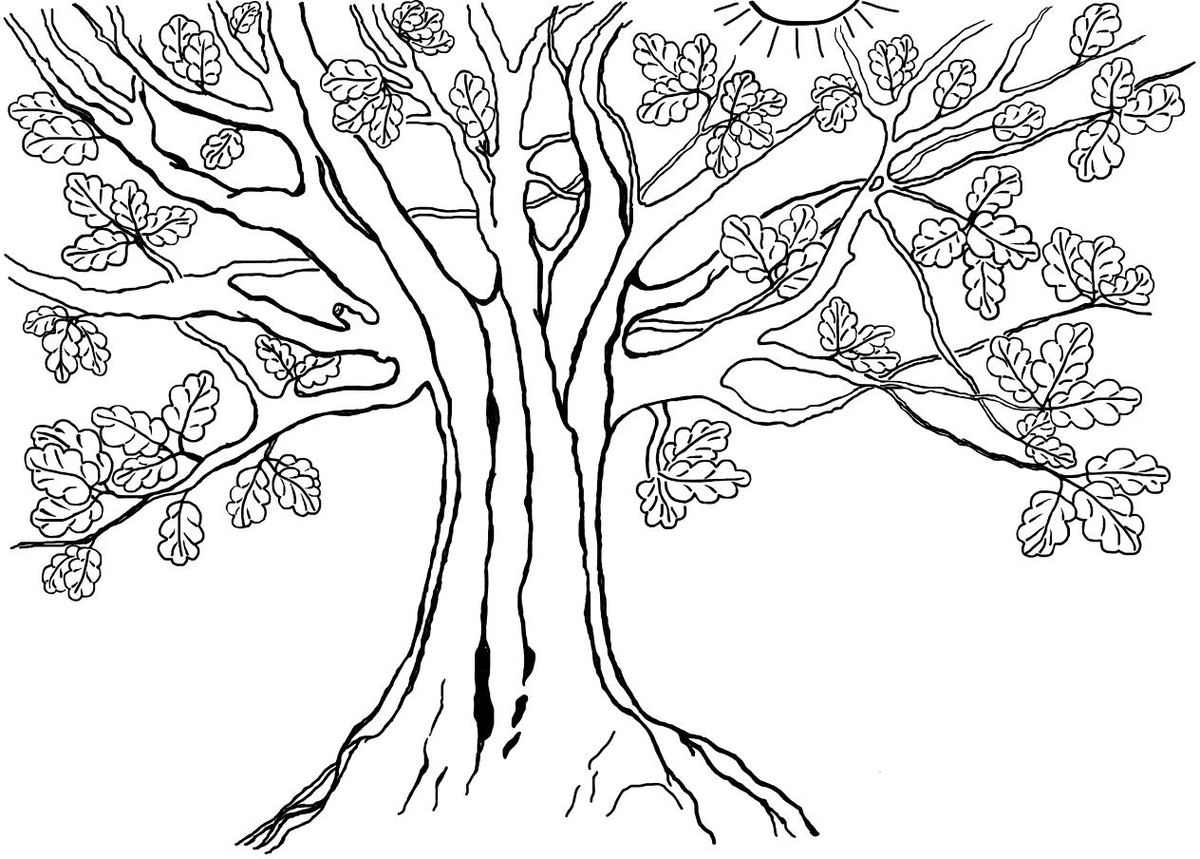 Рисунок автора