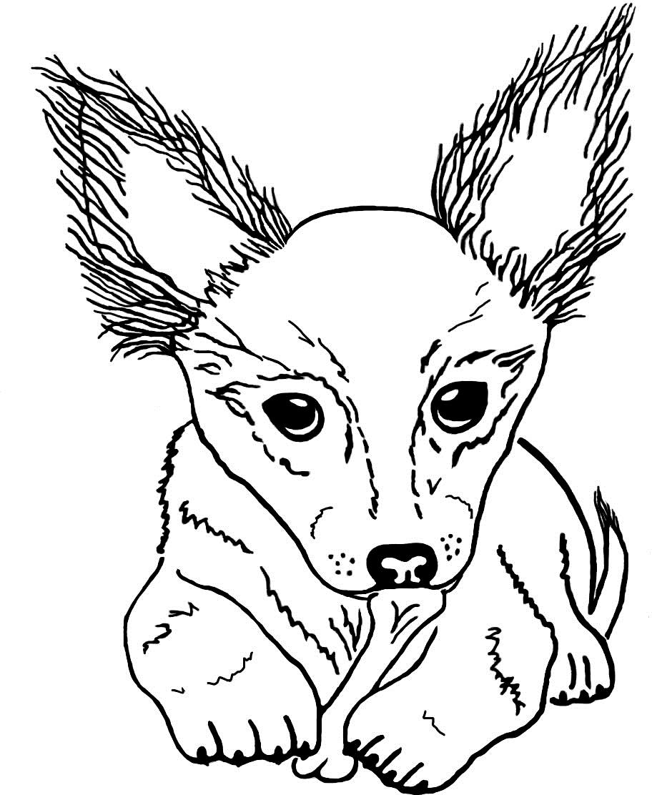 Рисунок автора