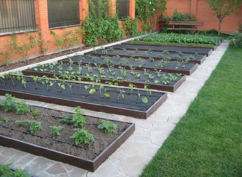 Фото из открытых источников