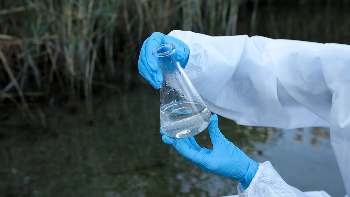    Фото: Shutterstock