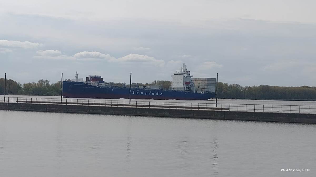 На Эльбе. Фото автора.