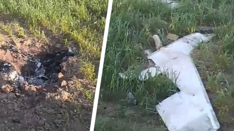 Фото: «Благодарненские вести».