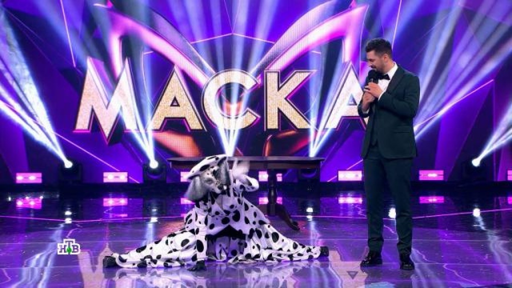    Ей подвластно всё кроме шпагата: Далматин раскрыл новые грани своего таланта