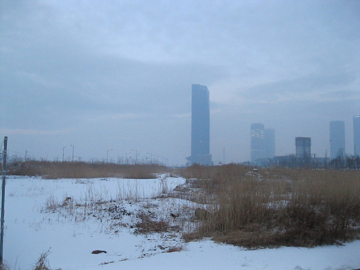 Пустырь, который был застроен в течение 3 лет