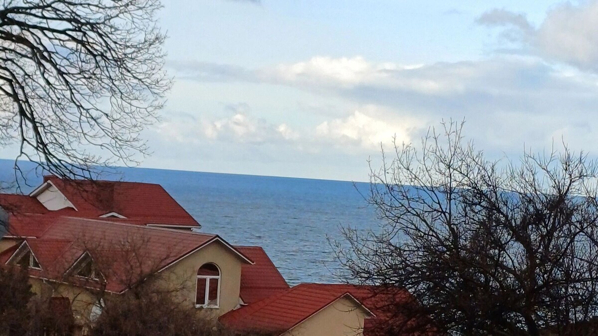     Автор: KubanPress