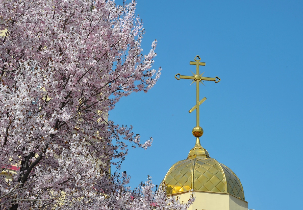     / РИА Новости / Саид Царнаев