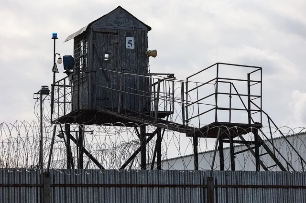    Похитители девочки из Козельска попытались уменьшить себе срок