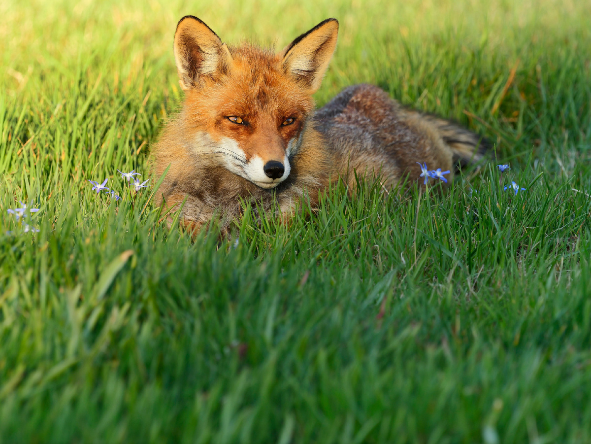 фото: Wolfram Steinberg/dpa/Global Look Press