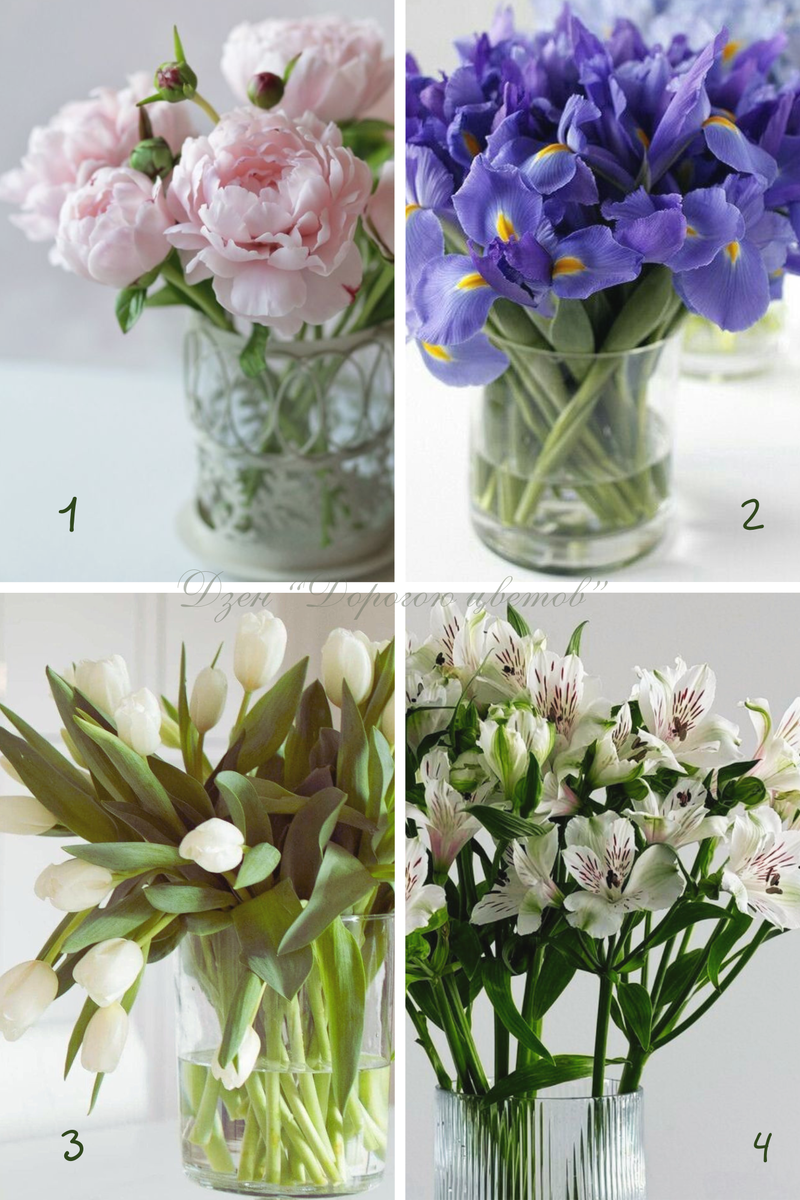 Коллаж "Дорогою цветов": 1 - пион, 2 - ирис, 3 - тюльпан, 4 - альстромерия.