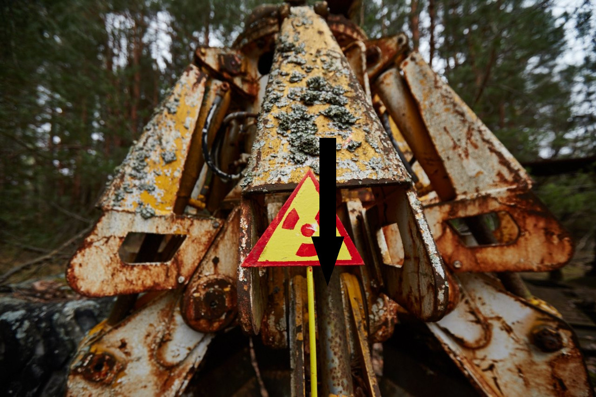    Тайны Чернобыля скрывают мутантов НАСА и российские ученые нашли доказательства