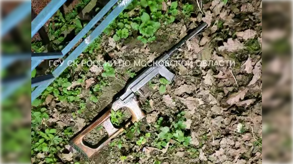 Фото: t.me/gsuskmosobl