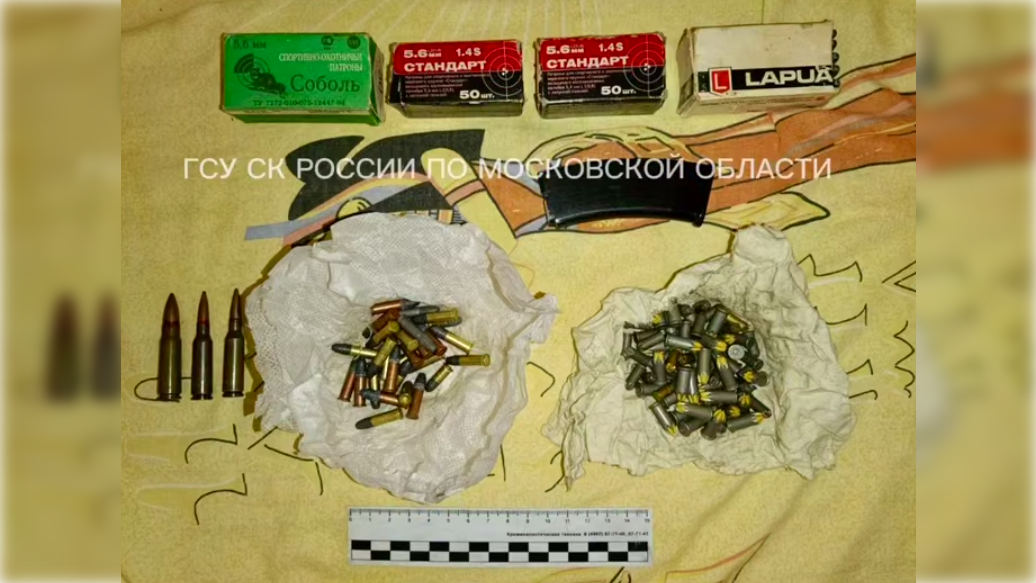 Фото: t.me/gsuskmosobl