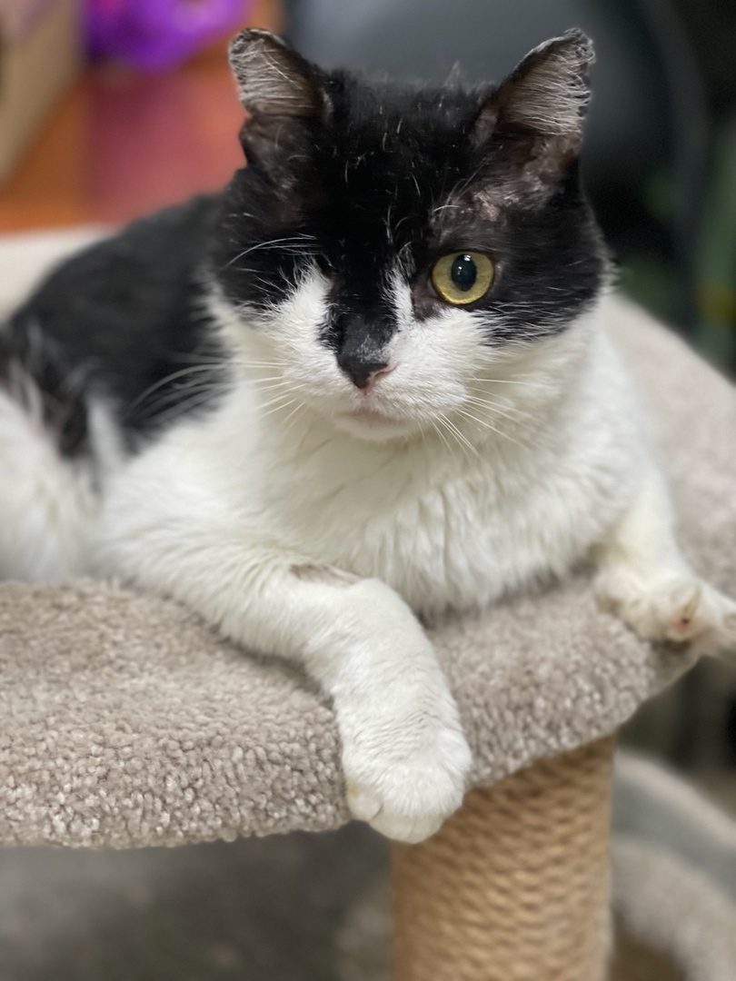 Захар переживает