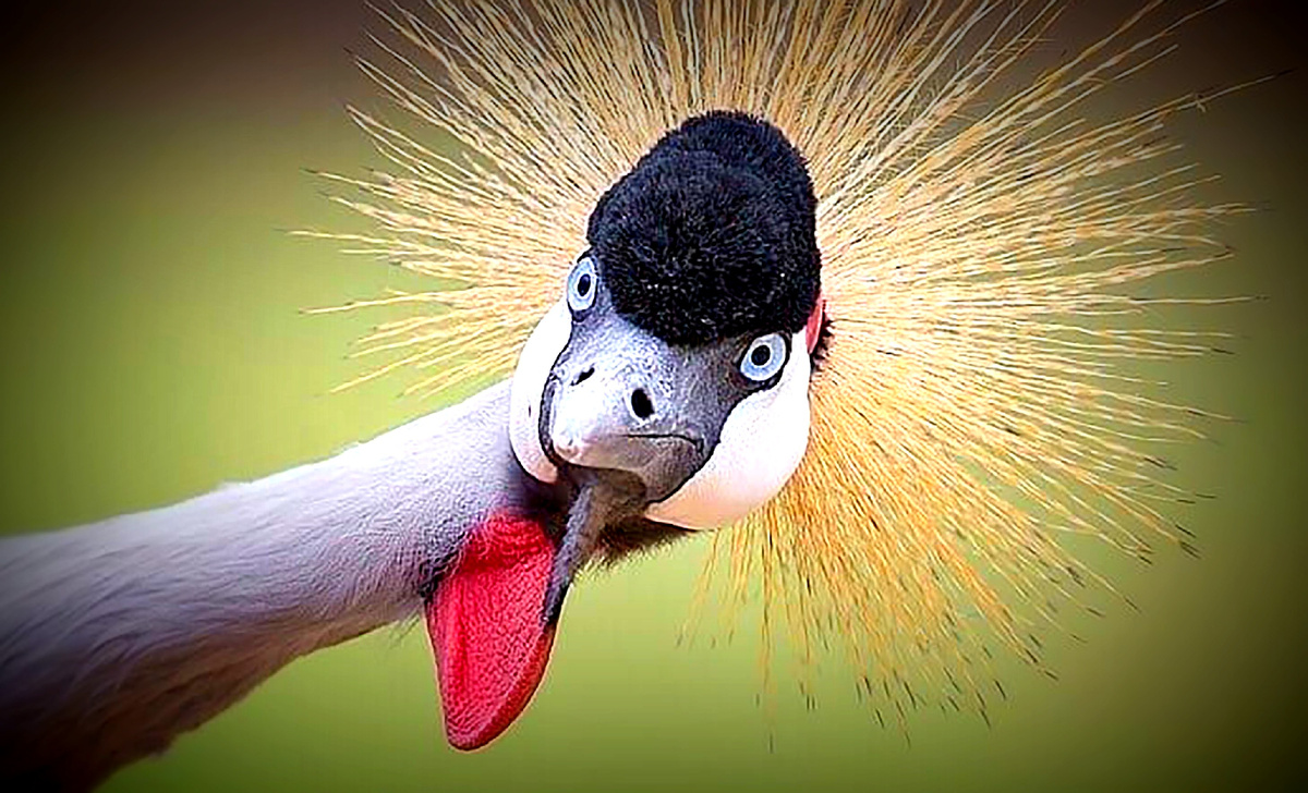 фото из свободных источников