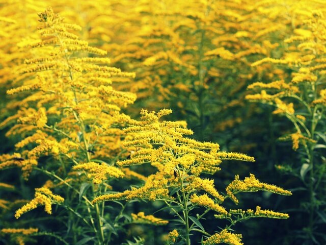    Фото: 123RF/vaivirga