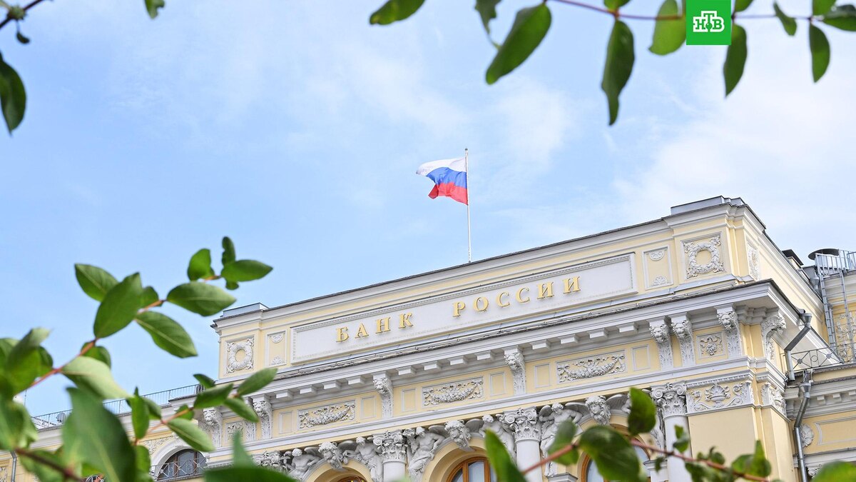    Фото: РИА Новости © 2025, Рамиль Ситдиков