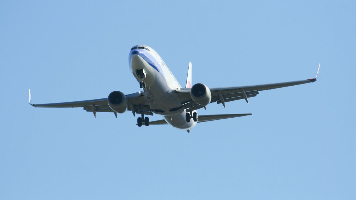    Фото: nitinut380/Shutterstock/Fotodom