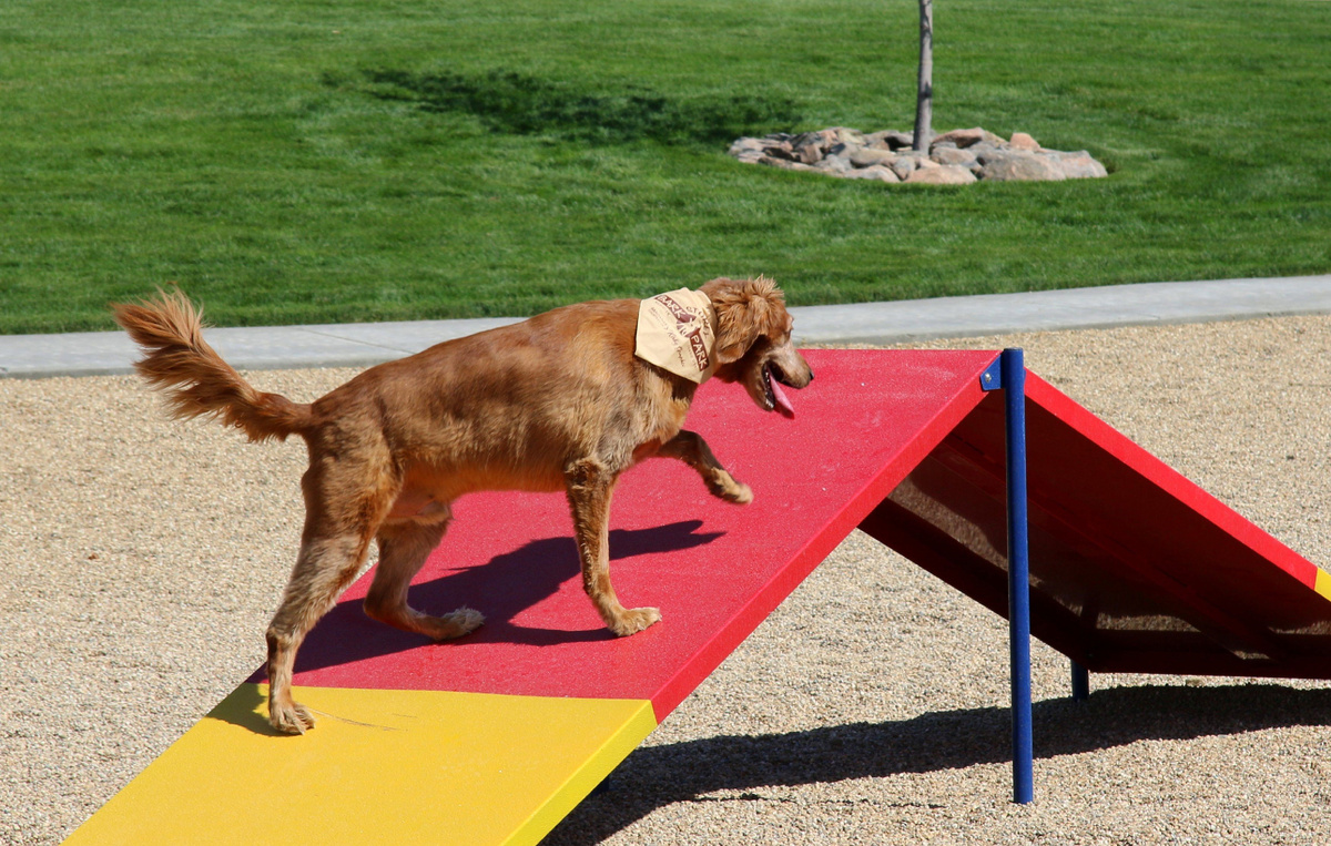 Испытание «Горка»