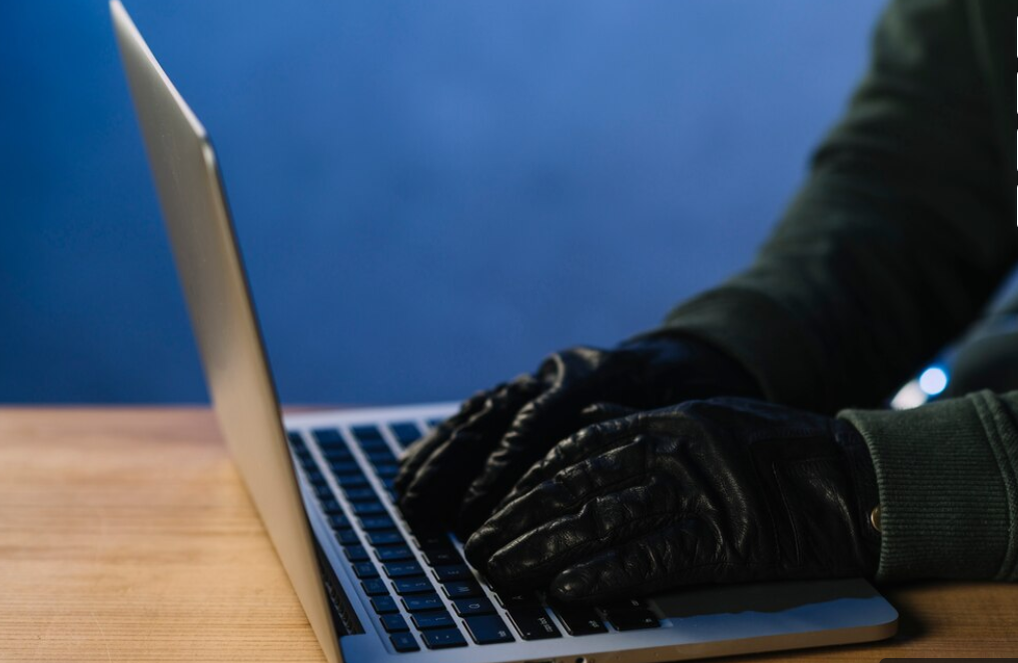 Источник фото: freepik