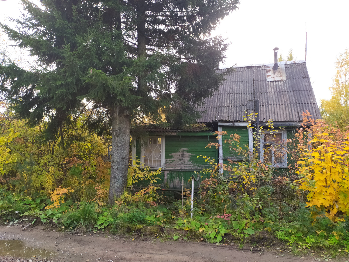 Таким я увидела дом во Всеволожске