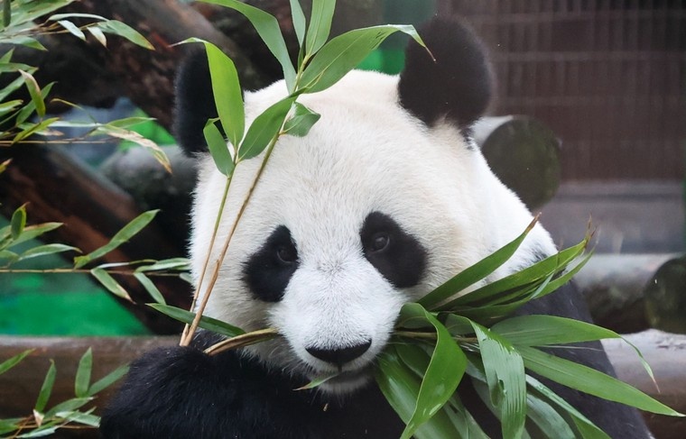    Алексей Белкин/NEWS.ru