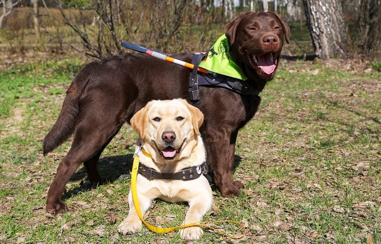    Наталья Шатохина/NEWS.ru