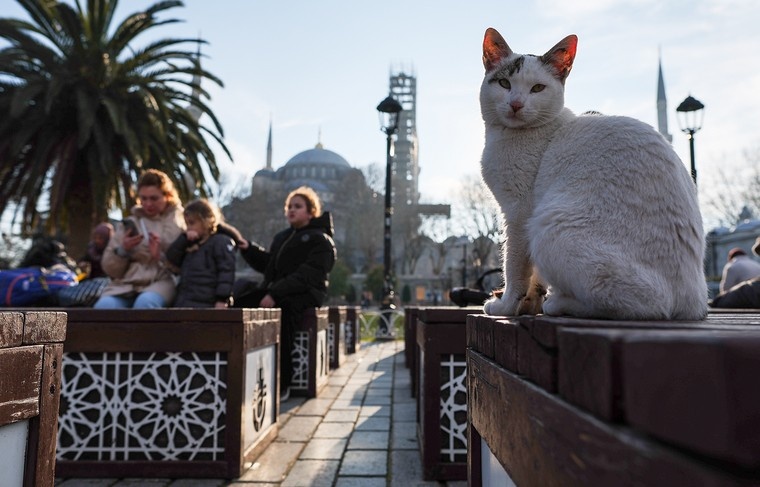    Алексей Белкин/NEWS.ru