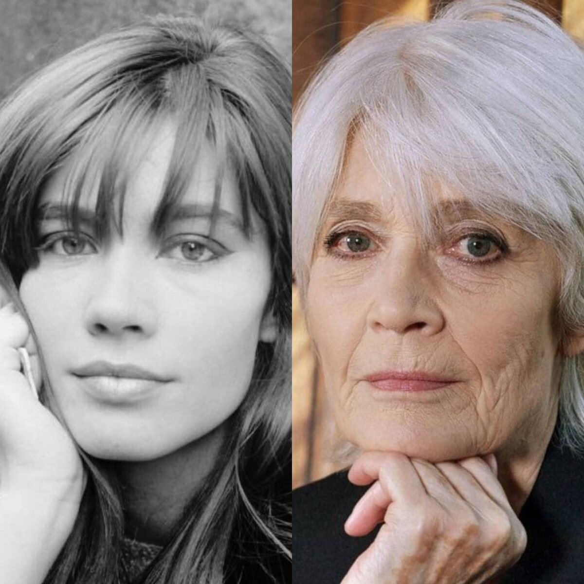 Певица Франсуаза Арди. Утонченная, изысканная француженка.