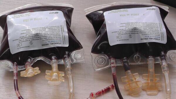    © Sputnik / Руслан Тадтаев