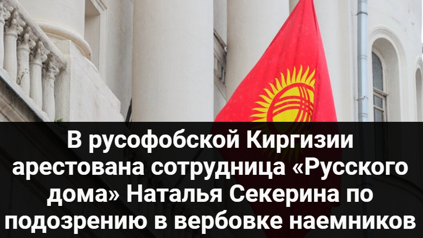 В русофобской Киргизии арестована сотрудница «Русского дома» Наталья Секерина по подозрению в вербовке наемников