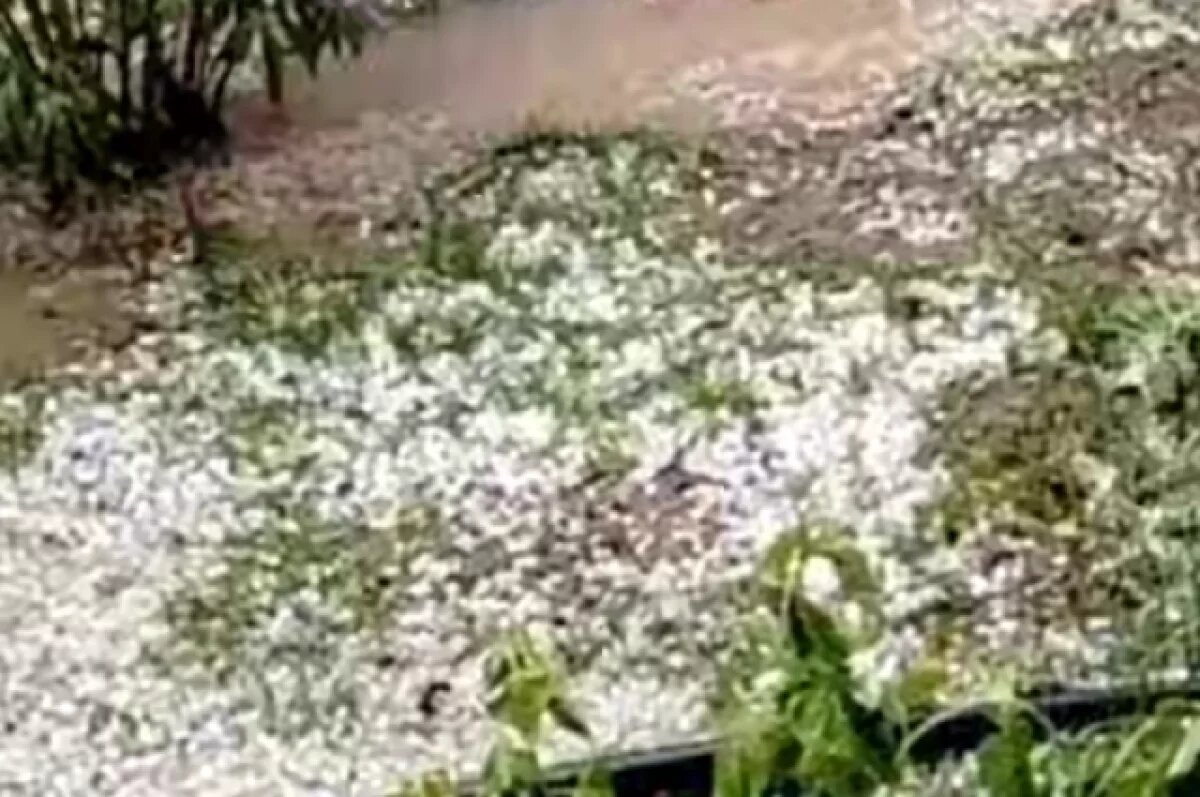    Волгоградцы поделились видео обрушившегося на город и окрестности града