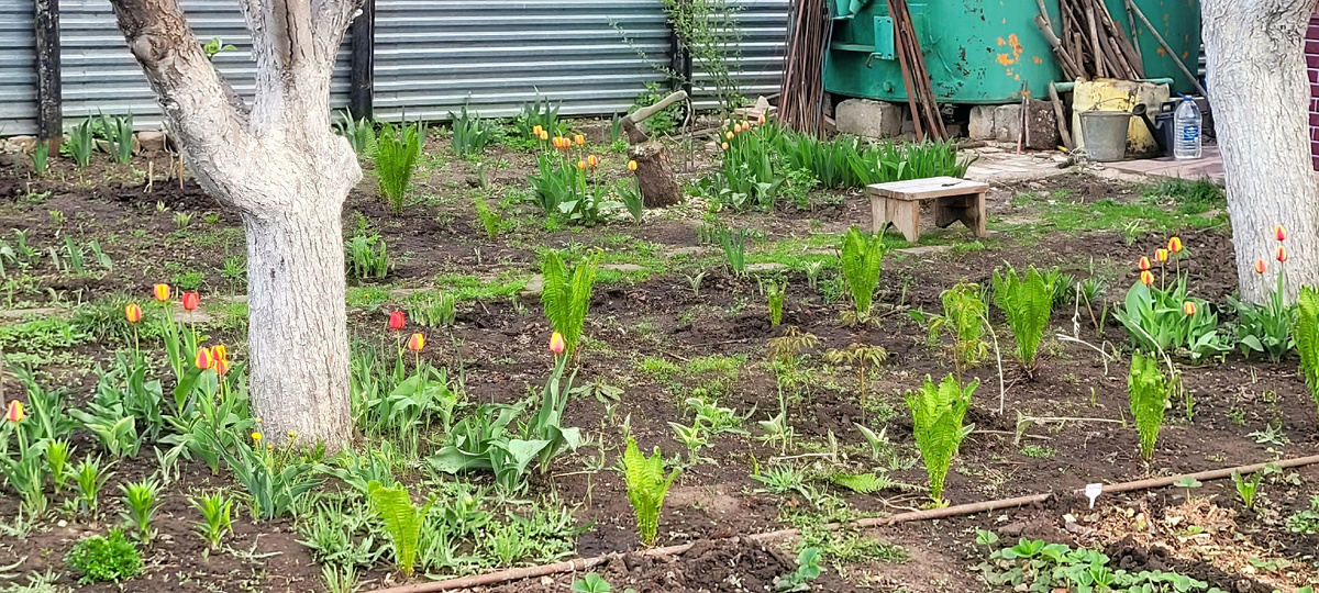 Прекрасно чувствуют себя цветы.