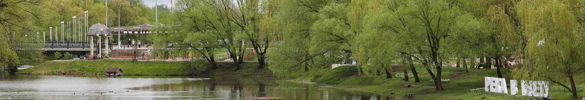    Фото: Антон Вергун